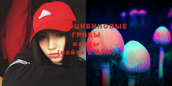 Альфа ПВП Медвежьегорск