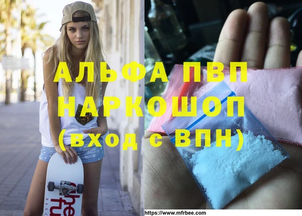Альфа ПВП Медвежьегорск